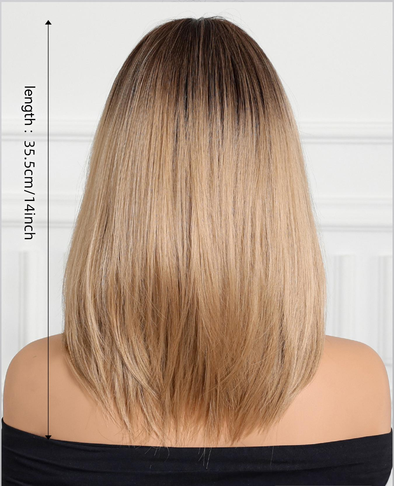BROWN SHOULDER LENGTH SYNTHETIC WIG BROWN BLONDE